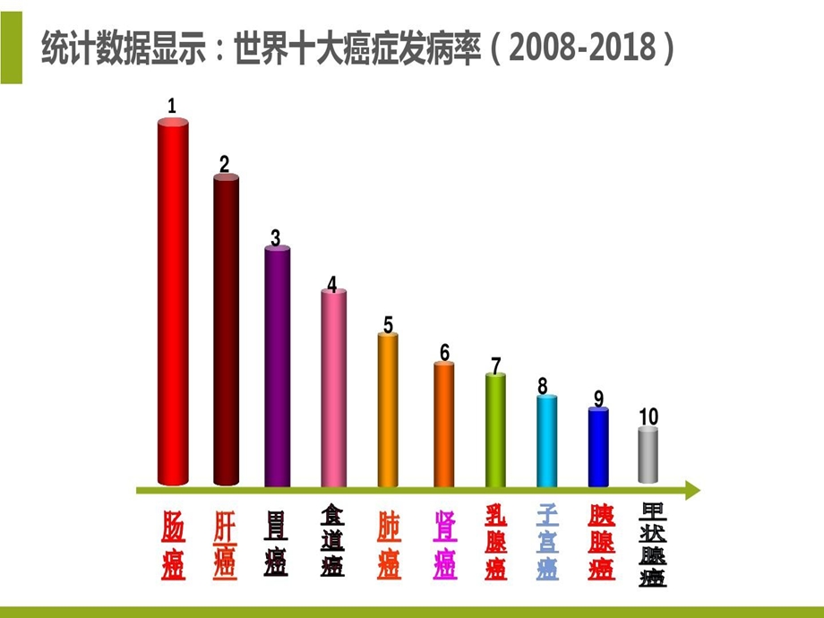 肠道排毒和减内脂课件.ppt_第3页