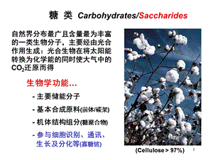 生物化学糖类ppt.ppt