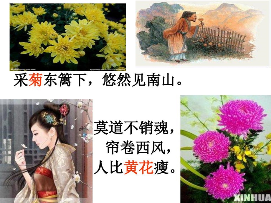 诗歌比较鉴赏公开课课件.ppt_第2页