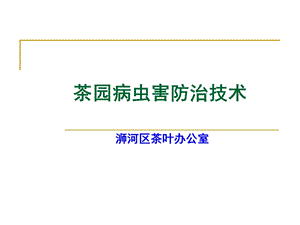 茶园病虫害防治技术课件.ppt