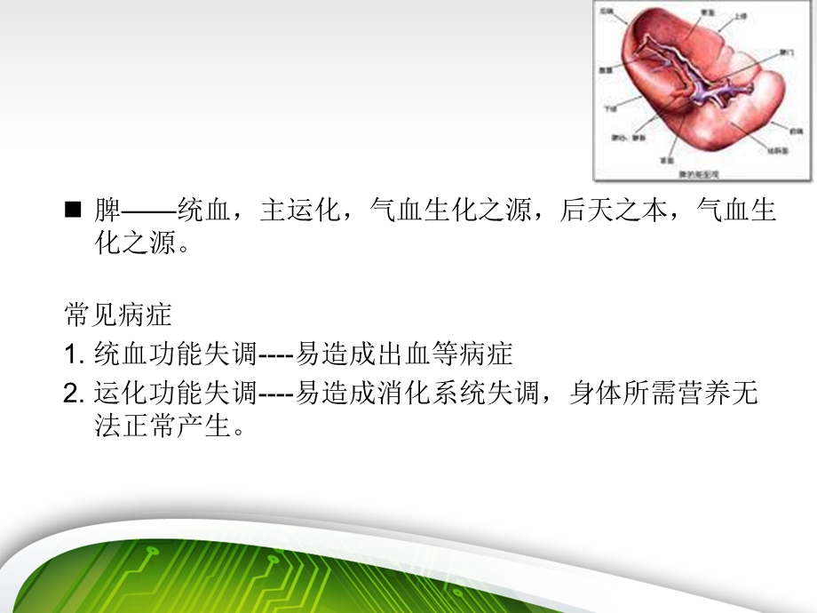 气血与五脏课件(模板).pptx_第3页