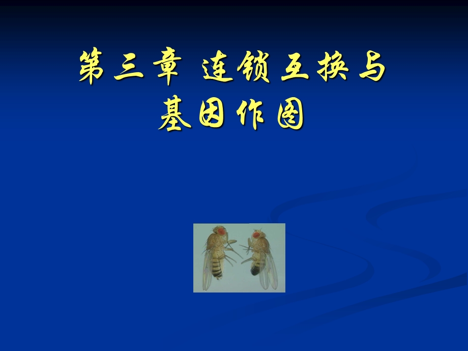 遗传学-第三章-连锁互换与基因作图课件.ppt_第1页