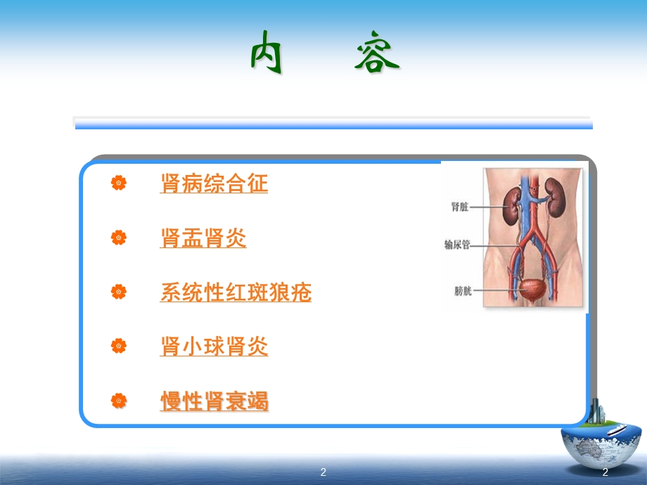 肾脏内科常见病患者的健康指导学习ppt课件.ppt_第2页