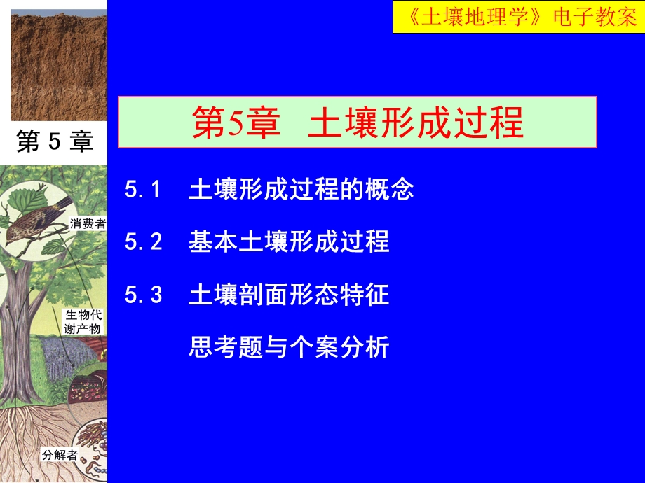 土壤形成过程课件.ppt_第1页