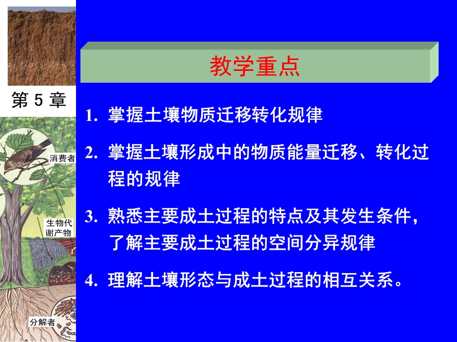 土壤形成过程课件.ppt_第2页