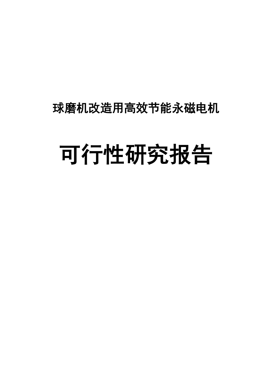 球磨机改造用高效节能永磁电机项目可行性研究报告.doc_第1页