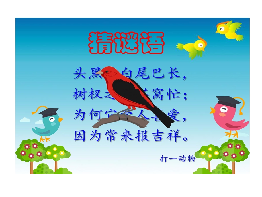 部编版小学二年级下册语文枫树上喜鹊课件.ppt_第3页