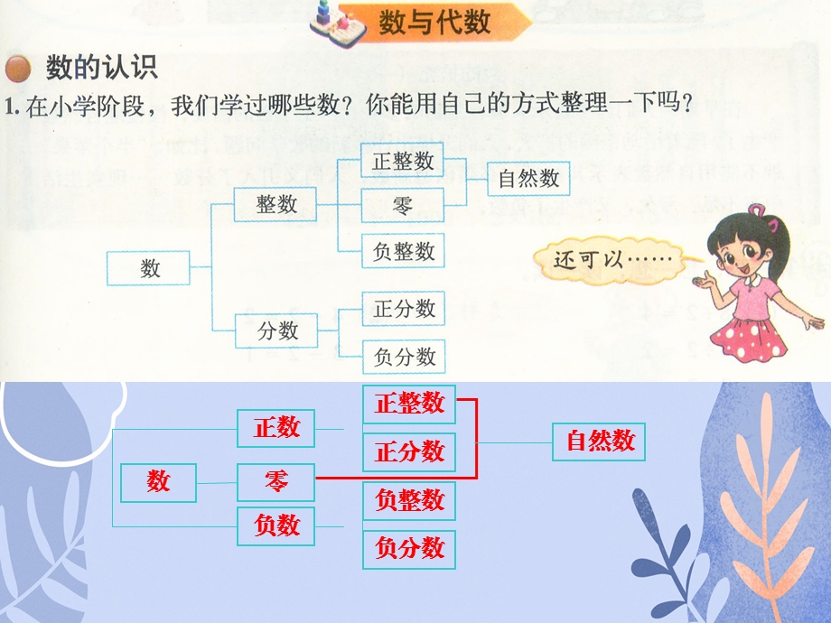 小学六年级数学下册总复习--专题一-数与代数精品教学ppt课件《北师大版》.pptx_第3页