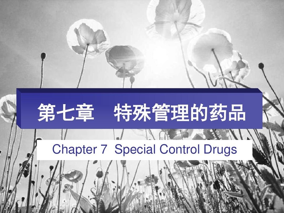 药事管理学特殊管理和药品课件.ppt_第2页