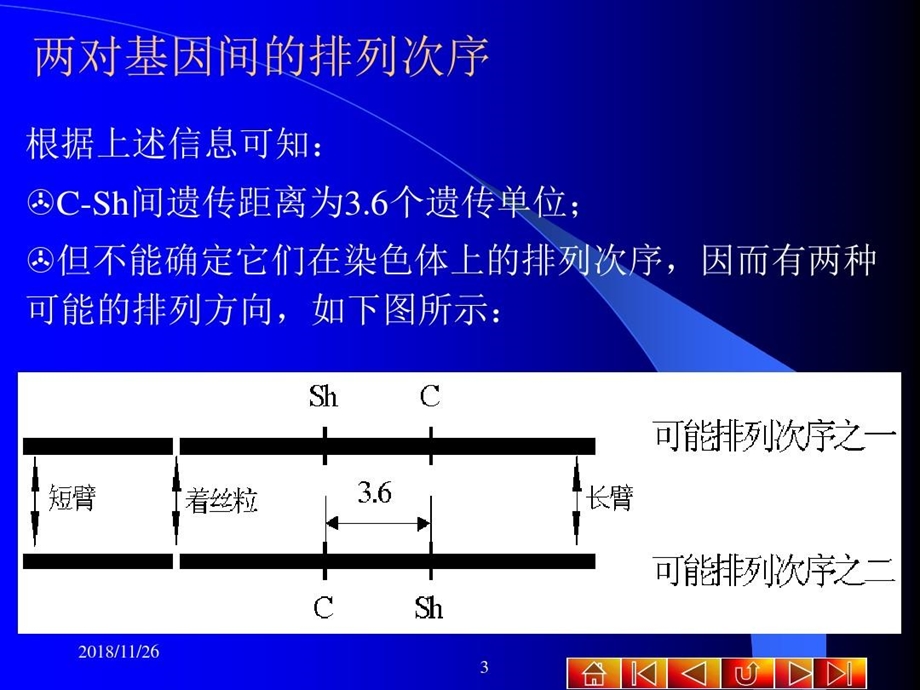 基因定位与连锁遗传课件.ppt_第3页