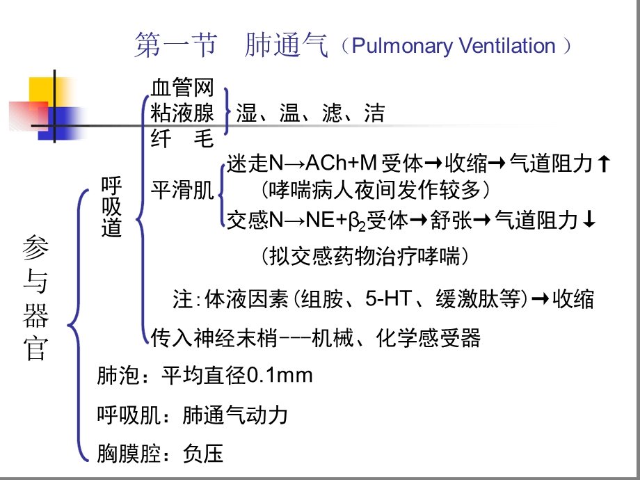 呼吸生理-生理学课件.ppt_第3页