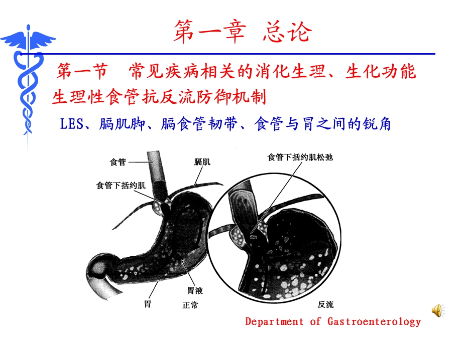 内科学8版消化系统疾病总论课件.ppt_第3页