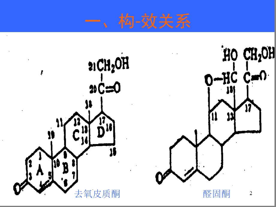 肾上腺皮质激素类课件.ppt_第2页