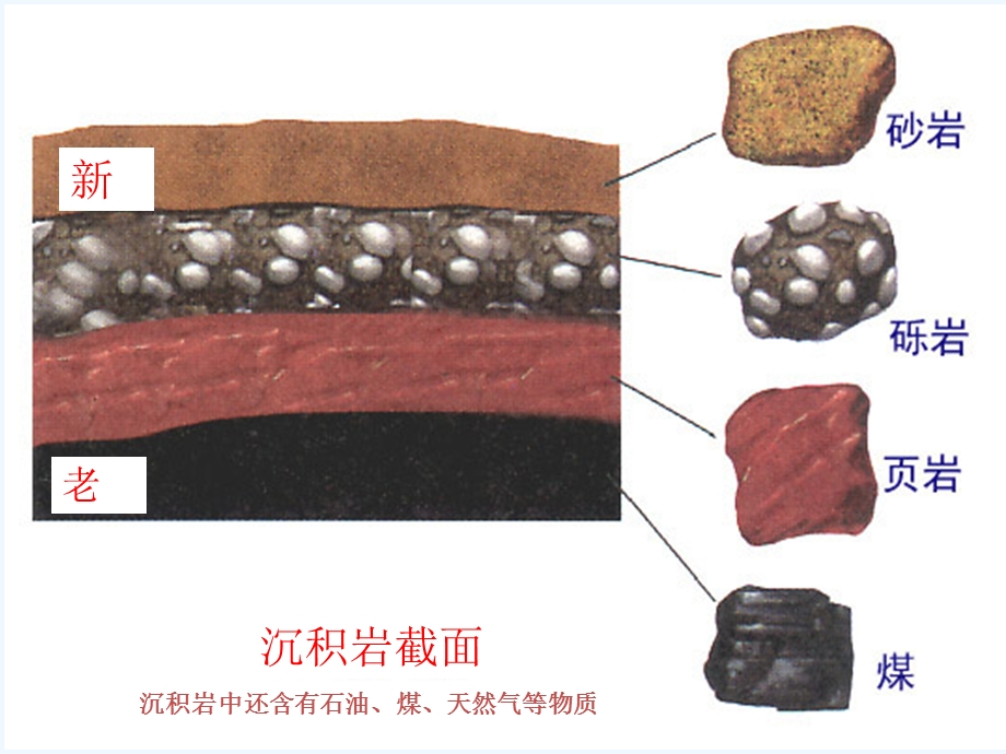 小学科学四年级下册《沉积岩》Xppt课件.pptx_第3页