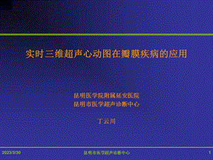 实时三维超声心动图在瓣膜疾病的应用课件.ppt