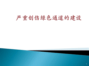 创伤绿色通道的建设课件.ppt