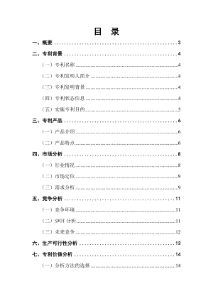 表笔专利项目可行性研究报告 .doc