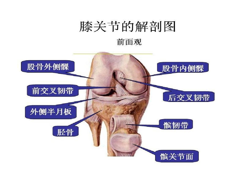 关节镜手术护理详解课件.ppt_第2页