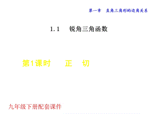 北师大版九年级数学下册第一章教学ppt课件全套.ppt