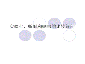 实验7蛔虫和蚯蚓比较解剖课件.ppt