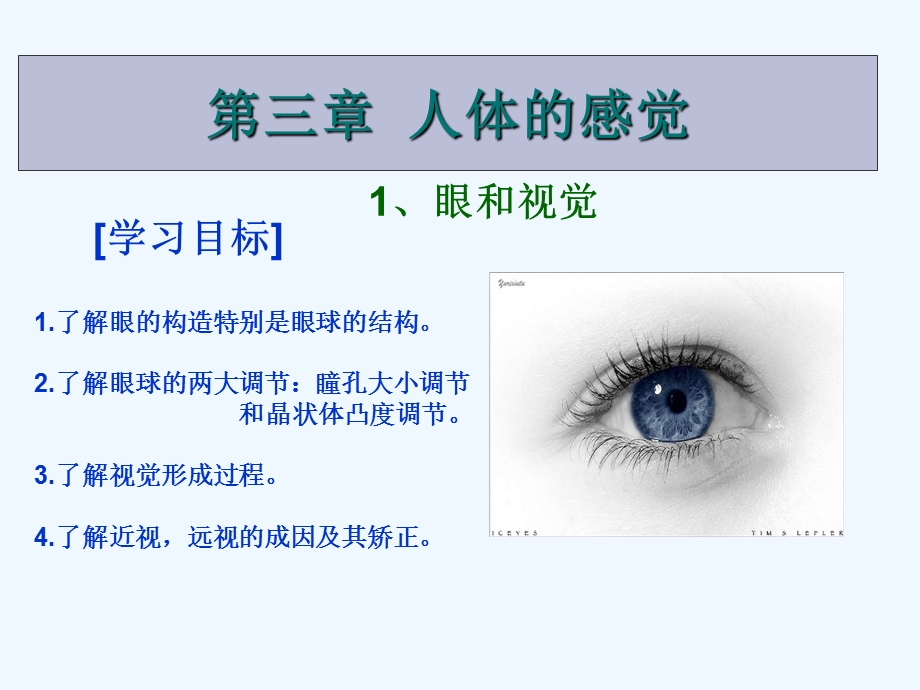 初中科学八年级《眼和视觉》最新精品课件.ppt_第1页