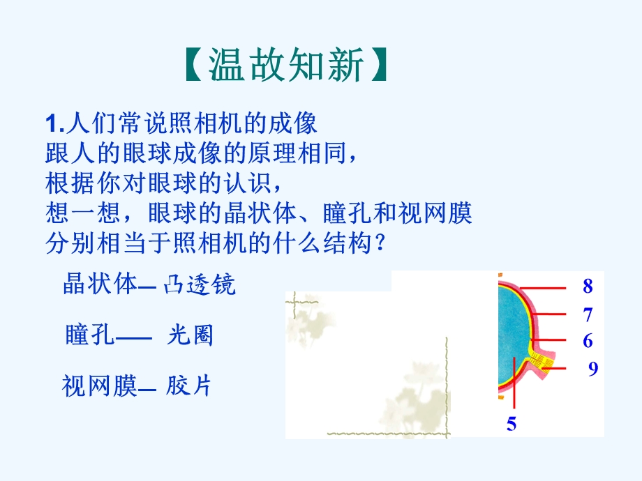 初中科学八年级《眼和视觉》最新精品课件.ppt_第3页