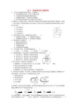 九级物理下册 第十六章 电动机与发电机 163 发电机为什么能发电特色训练 沪粤版.doc