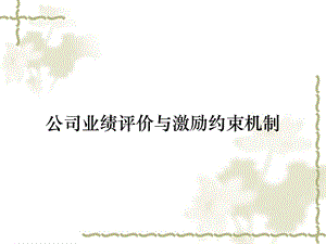 公司业绩评价与激励约束机制课件.ppt