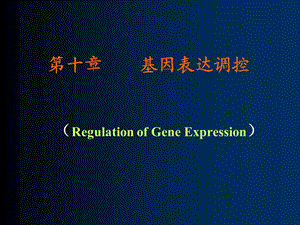 分子生物学-10基因表达调控课件.ppt