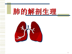 肺的解剖和生理.ppt