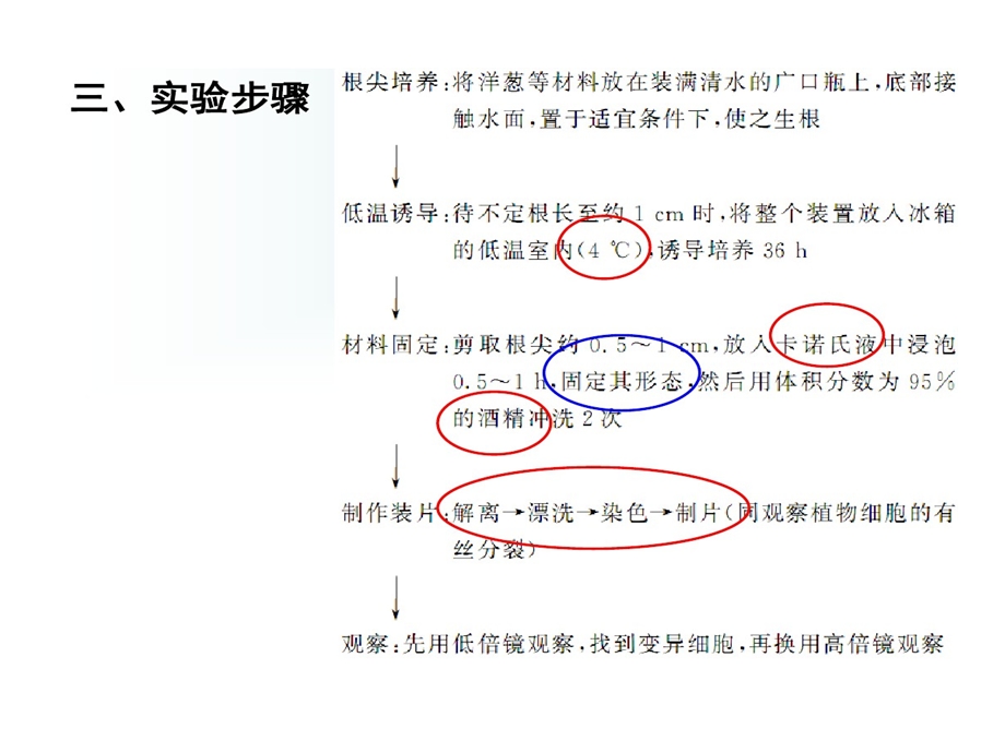 实验低温诱导植物染色体数目变化课件.ppt_第2页