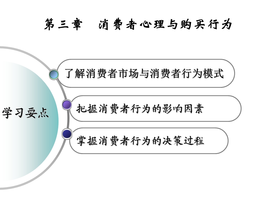 第三章-消费者行为新课件.ppt_第2页