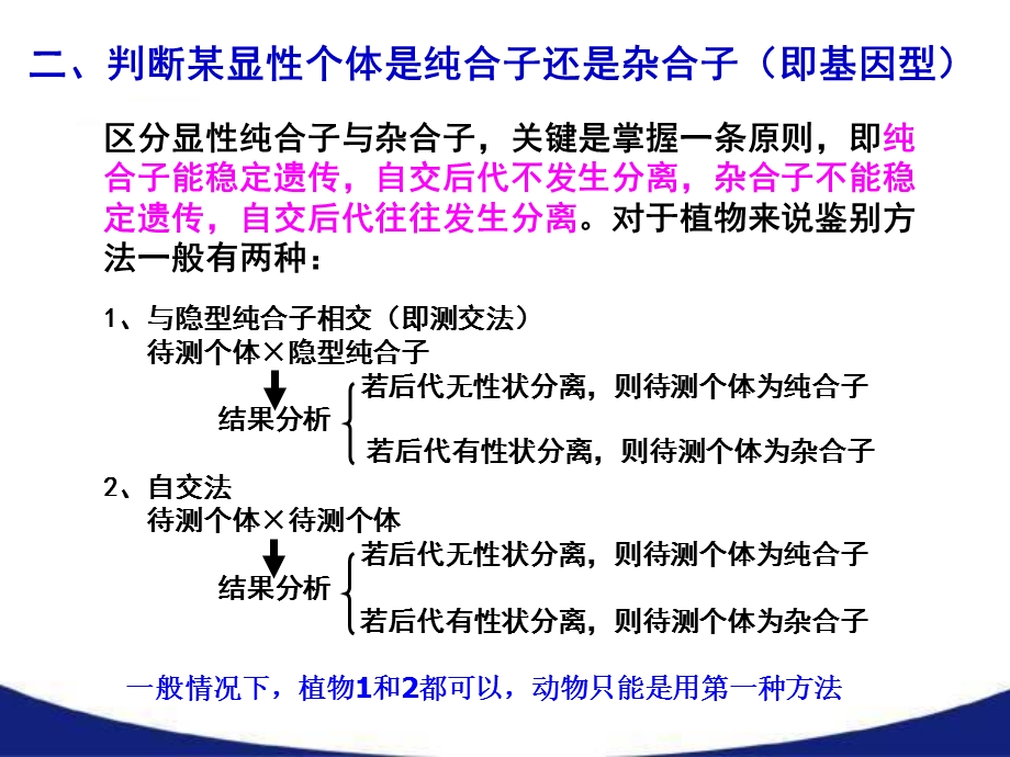 孟德尔遗传定律的拓展及解题方法课件.pptx_第3页