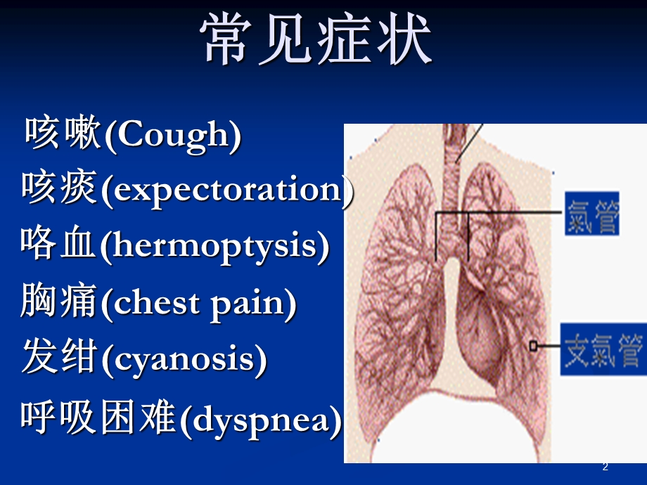 呼吸系统相关症状课件.ppt_第2页