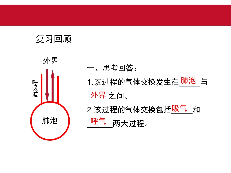 苏教版生物七年级下册104《人体内的气体交换》授课ppt课件.ppt_第2页