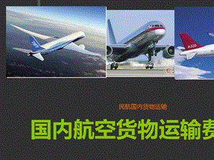 国内航空货物运输费用培训ppt课件.ppt