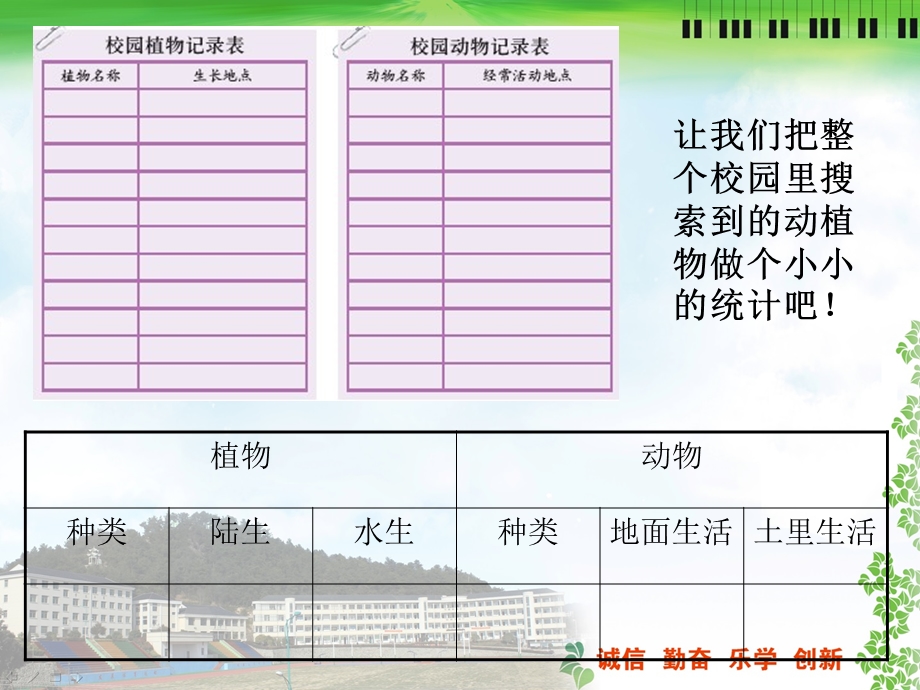 教科版小学科学六年级上册《校园生物分布图》优质课课件.ppt_第2页