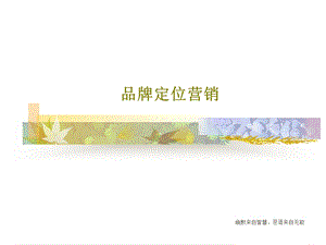 品牌定位营销课件.ppt