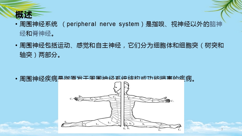 周围神经病PPT全面资料课件.pptx_第3页