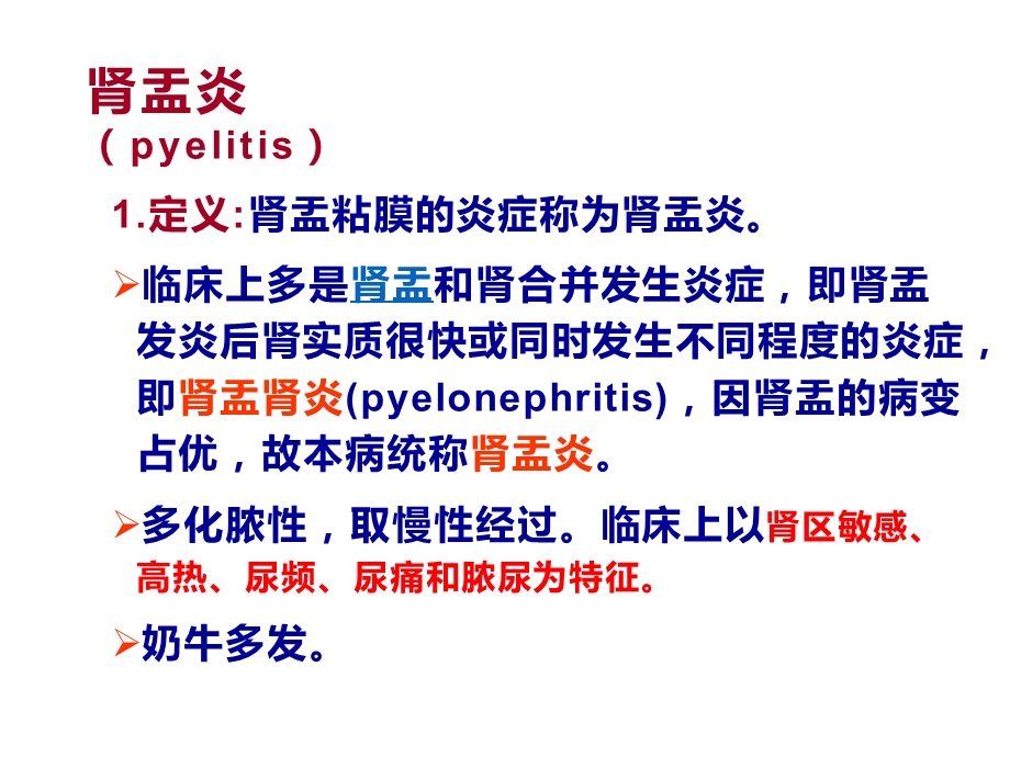 兽医内科学-尿路疾病课件.pptx_第2页