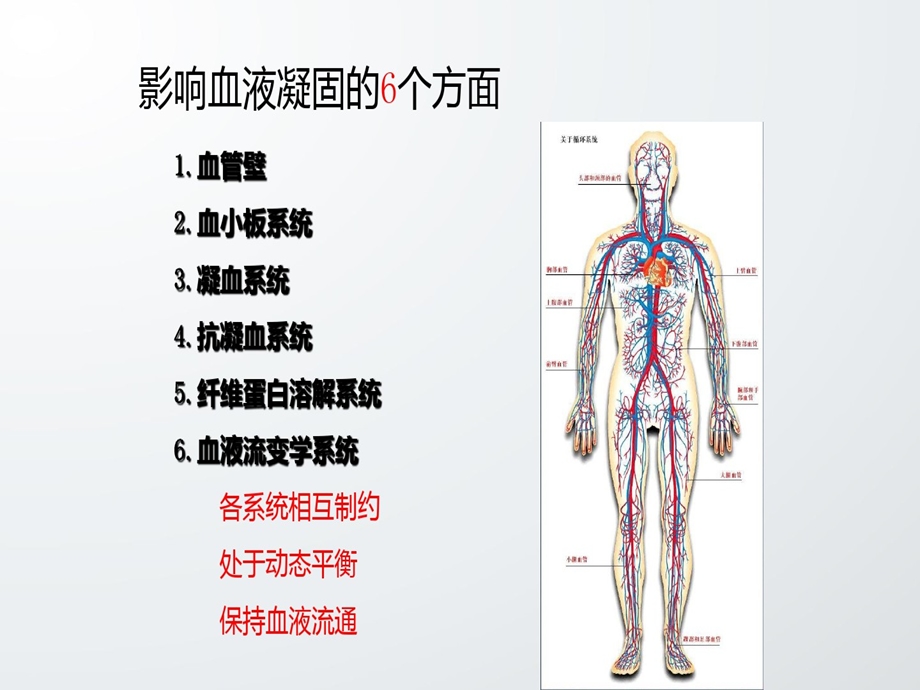 凝血功能检查指标解读课件.ppt_第3页