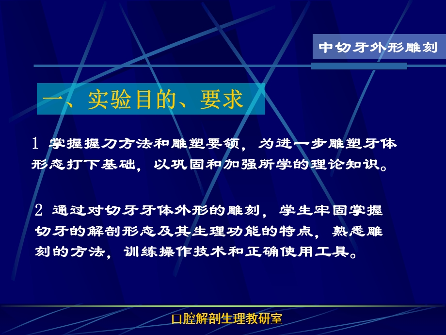 医学资料-上颌中切牙外形雕刻-ppt课件.ppt_第2页