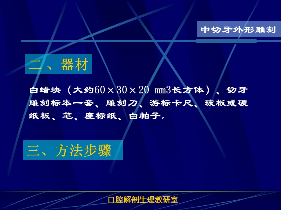 医学资料-上颌中切牙外形雕刻-ppt课件.ppt_第3页