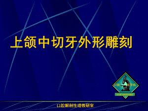 医学资料-上颌中切牙外形雕刻-ppt课件.ppt