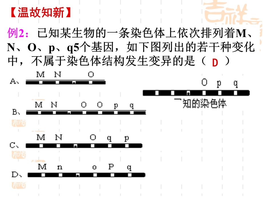 它们携带着生物生长发育的全部遗传信息这些染色体在形态课件.ppt_第1页