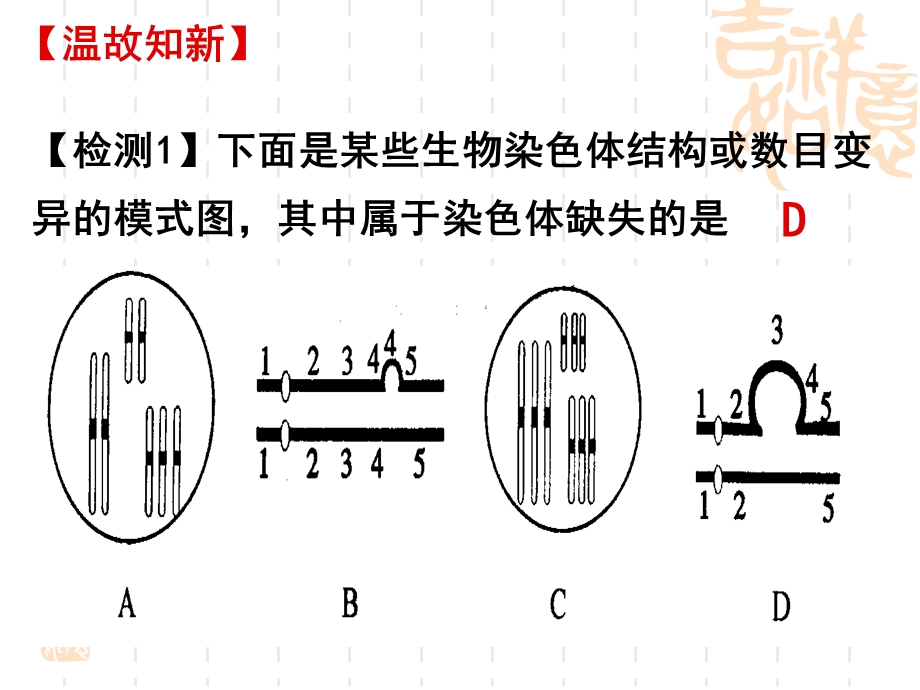 它们携带着生物生长发育的全部遗传信息这些染色体在形态课件.ppt_第2页