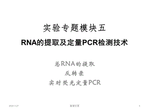 实验专题模块五RNA的提取及定量PCR检测技术课件.pptx