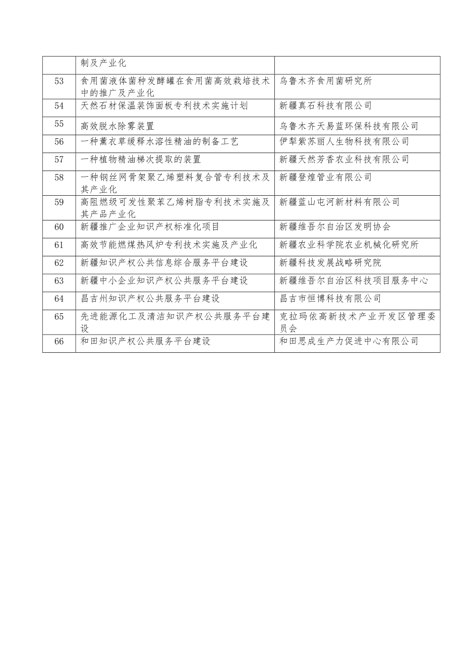 自治区专利实施计划拟立项项目名单.doc新疆维吾尔.doc_第3页