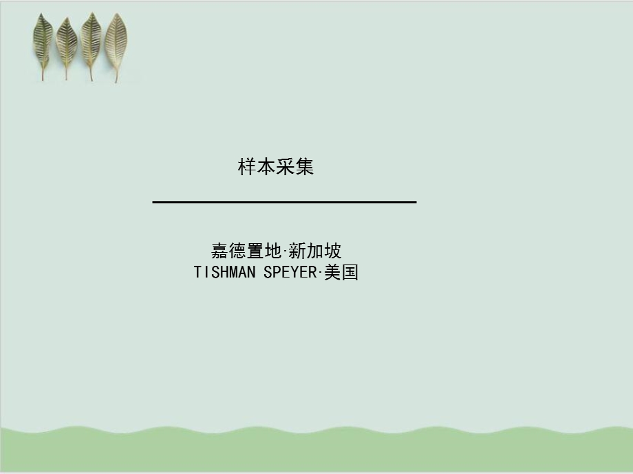 国外大型房企业务发展模式探讨课件.ppt_第2页