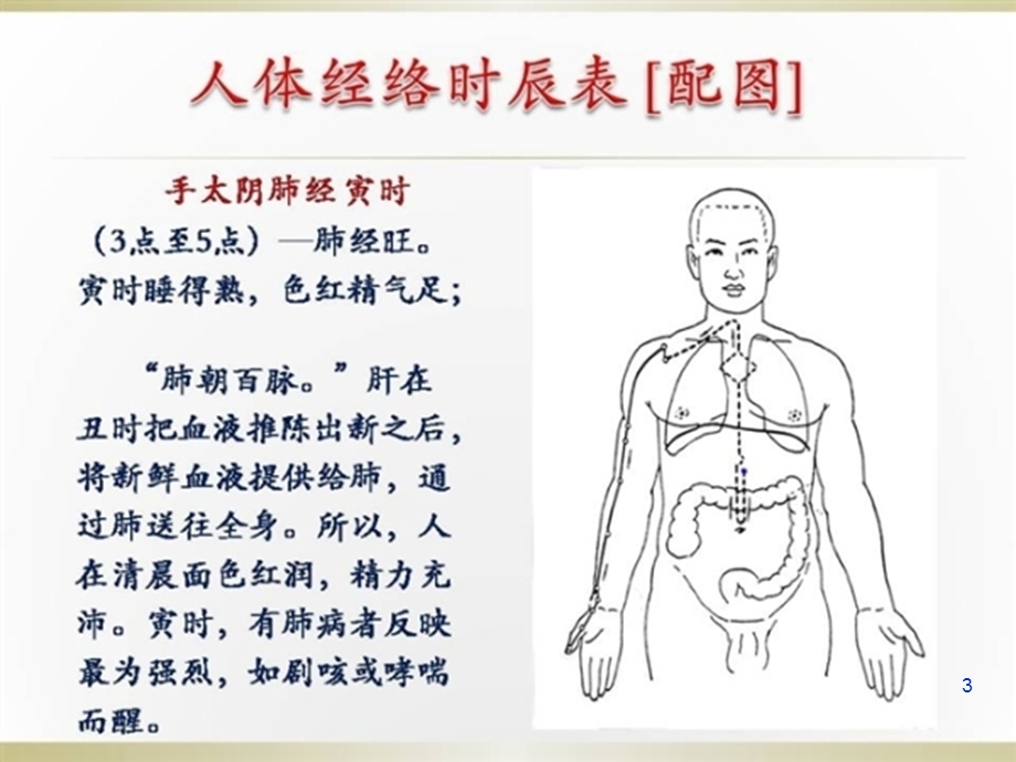 十四条经络养生优质ppt课件.ppt_第3页